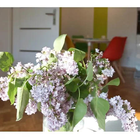 Apartament Nowolipie